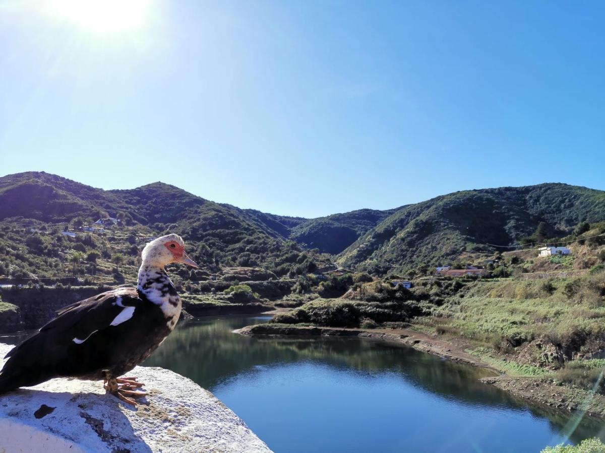 Casa Rural Leo: Remanso De Paz Y Tranquilidad Agulo Dış mekan fotoğraf